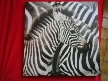 TOILE ZEBRE