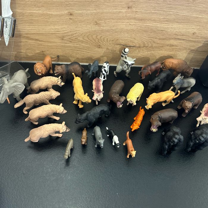 Animaux du zoo