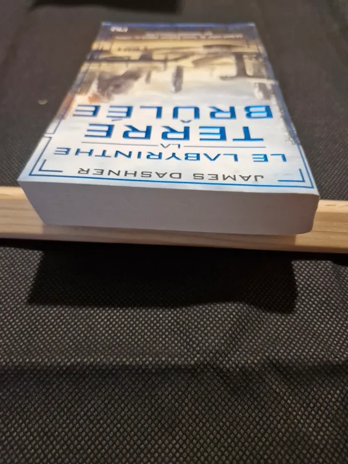 Le labyrinthe - L'épreuve Tome 2 - La terre brûlée - James Dashner - photo numéro 4
