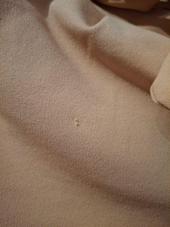 Short - photo numéro 3