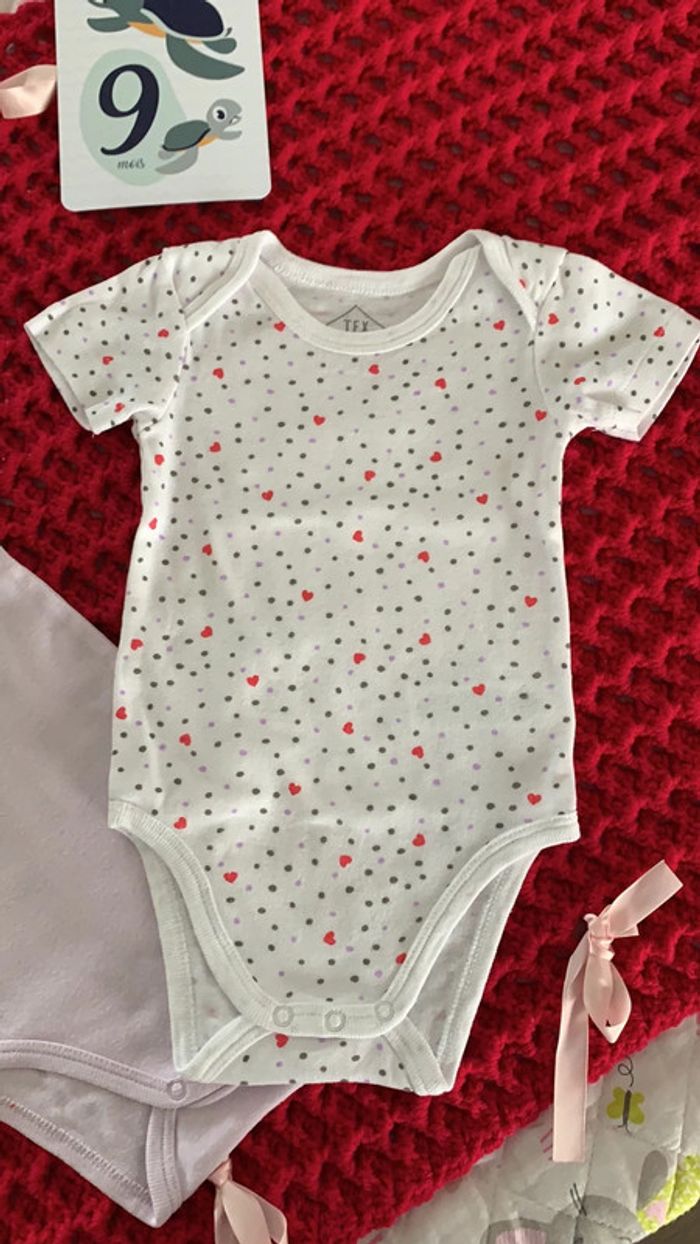 Lot de 2 bodies TEX Baby 9 mois - photo numéro 3