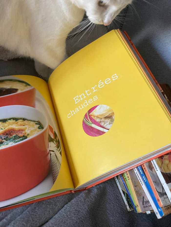 Notre grand livre de cuisine - photo numéro 6