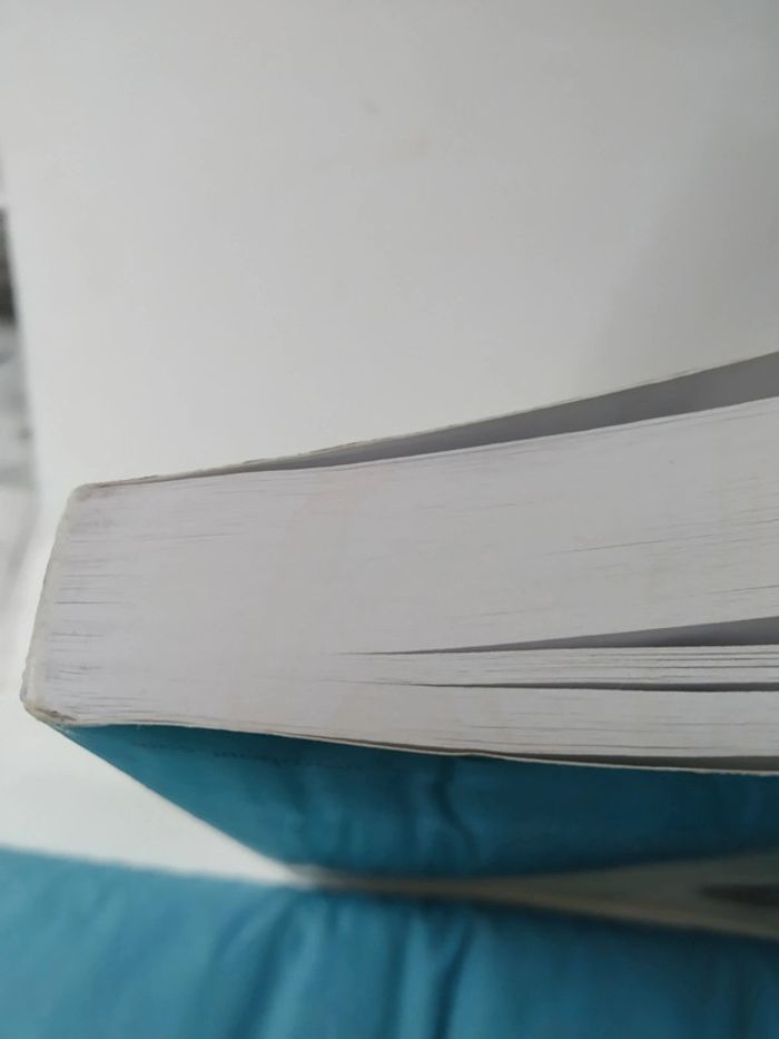 Parents efficaces - photo numéro 4