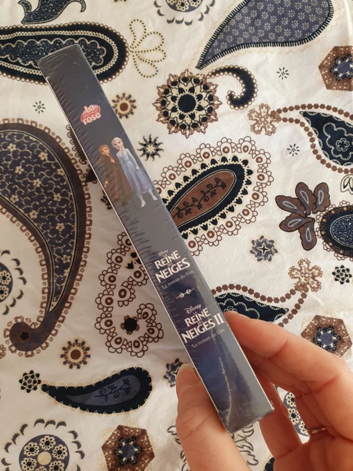 2 romans La reine des neiges - photo numéro 5