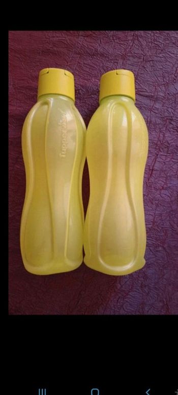 Lot de 2 gourdes pour sport,travail,enfant,maison 2 x 1 litre