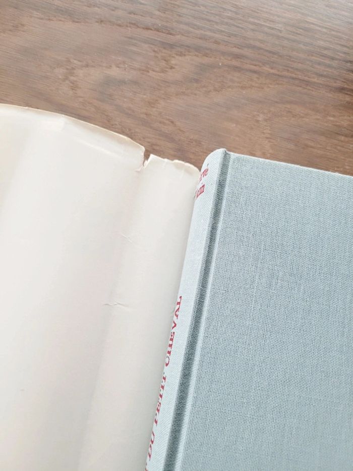 La mort du petit cheval - photo numéro 3