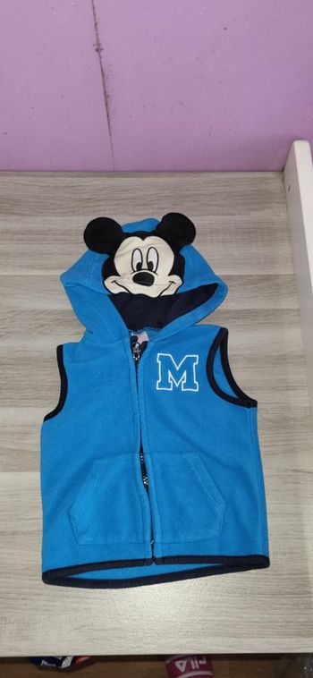 Gilets Disney 12 mois