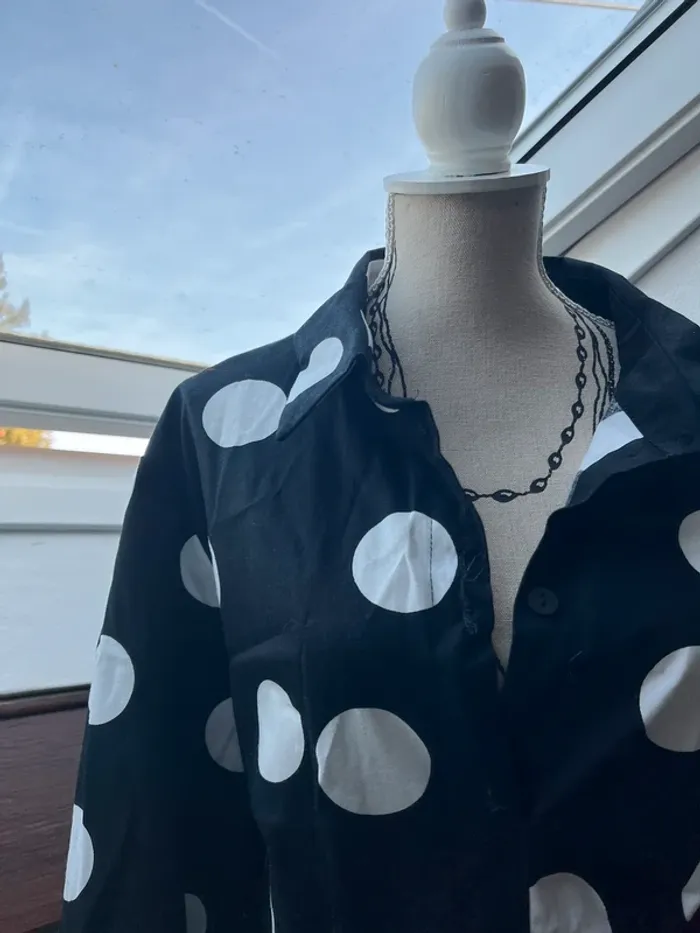 Robe à pois cintré Mohit - photo numéro 4