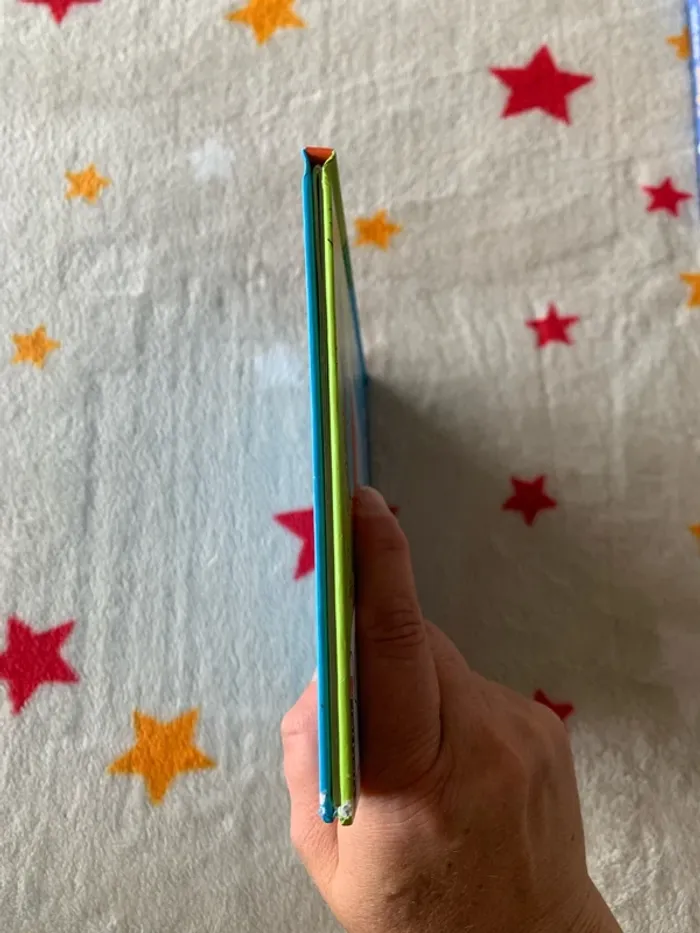 T’choupi fait une cabane à lire à écouter Très bon état - photo numéro 5