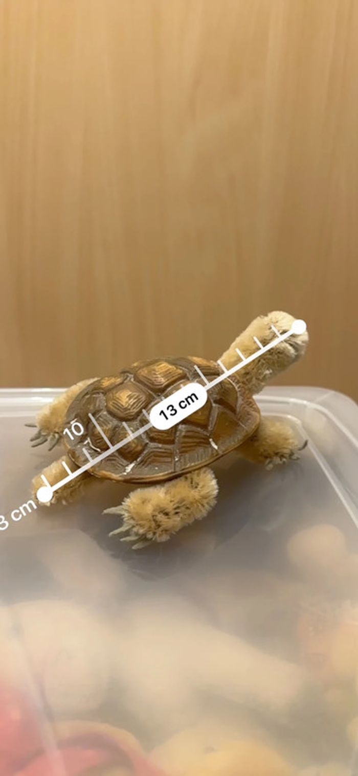 Tortue Steiff - photo numéro 2