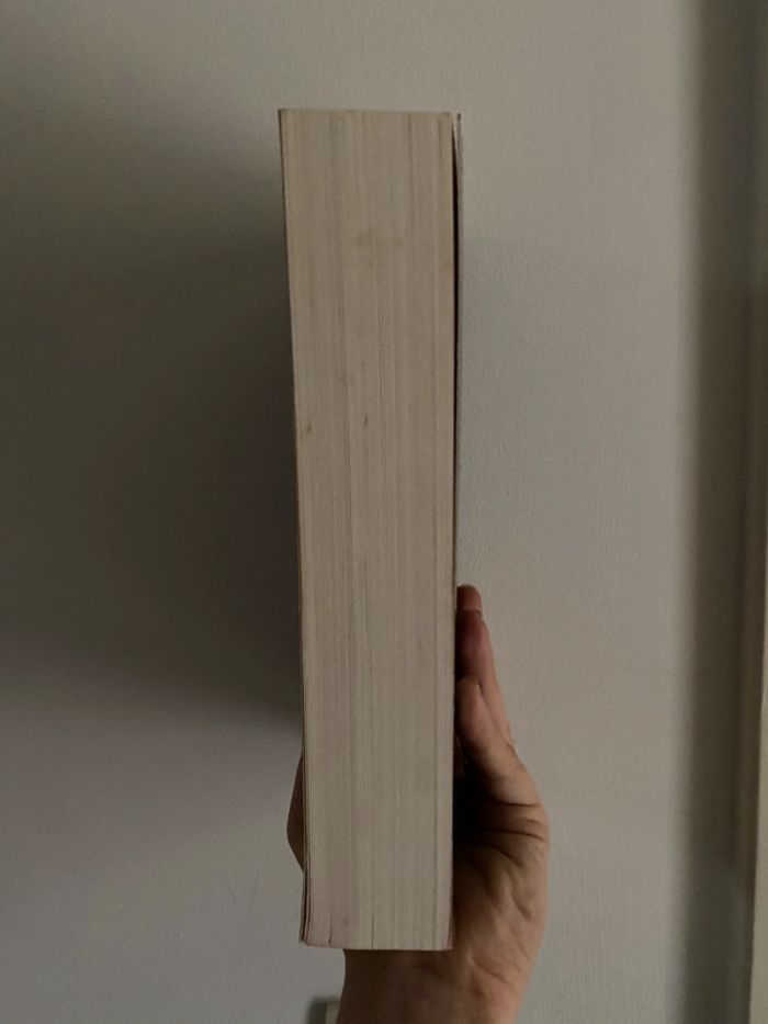 Livre L.J. Smith - Journal d’un Vampire tome 3 - photo numéro 3