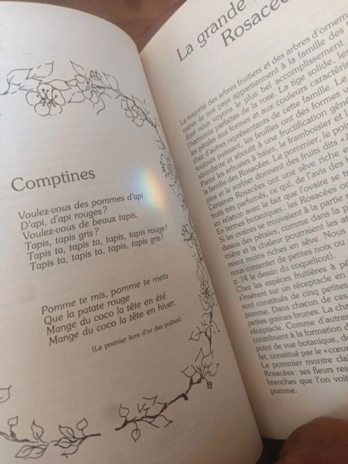 Livre de recettes La Pomme - photo numéro 4