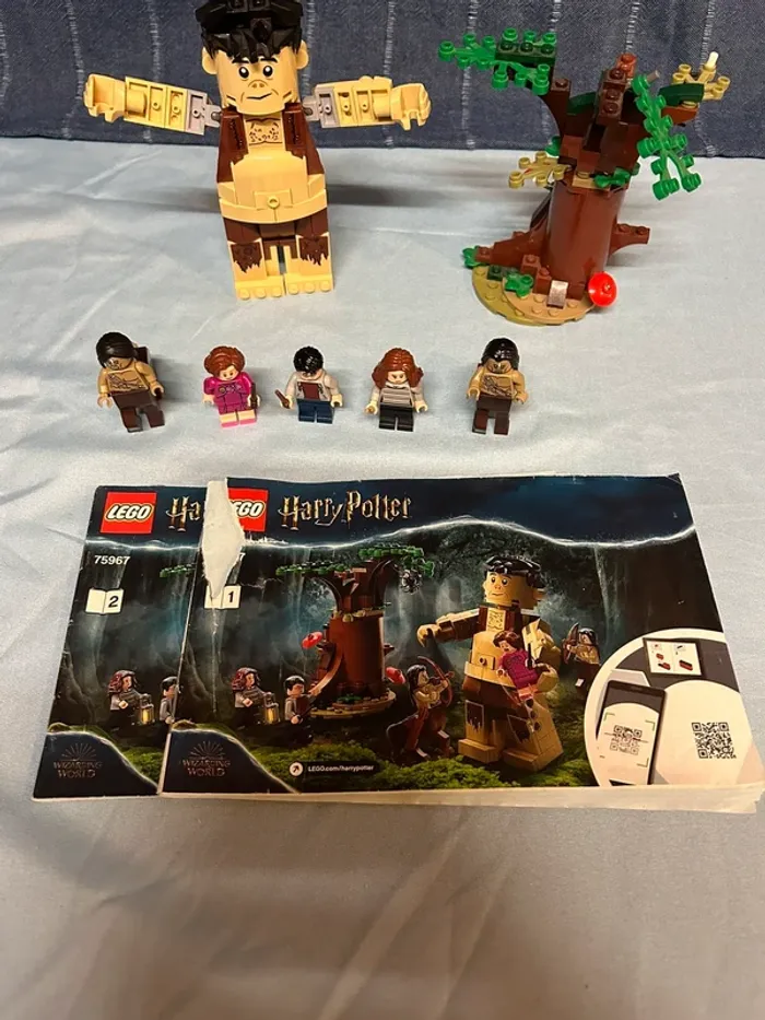 Lego Harry Potter La Forêt Interdite 75967 - photo numéro 5
