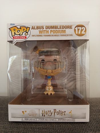 Pop Dumbledore et podium (172)