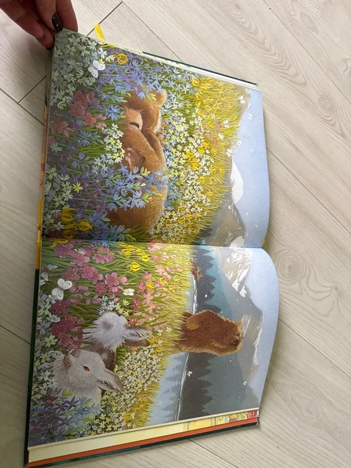 Grand livre enfant ours - photo numéro 7