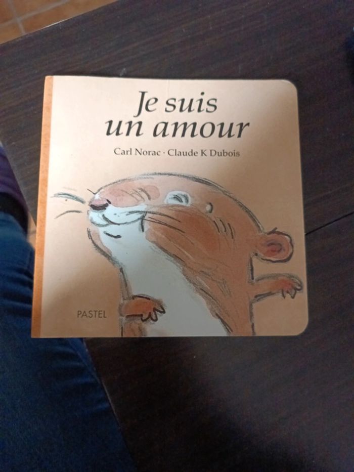 Livre je suis un amour