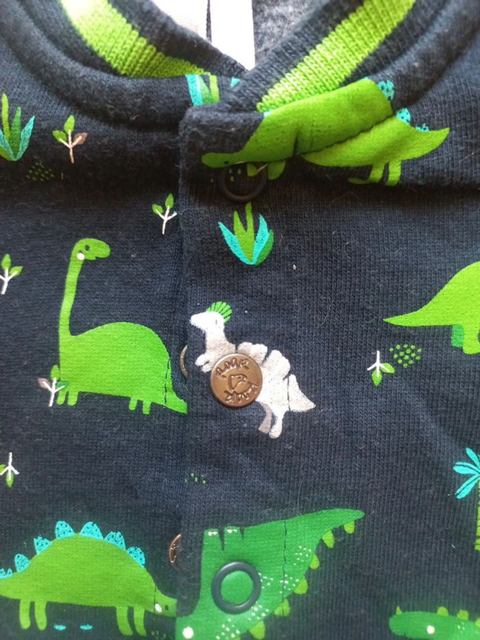 Grenouillère dinosaure - photo numéro 2