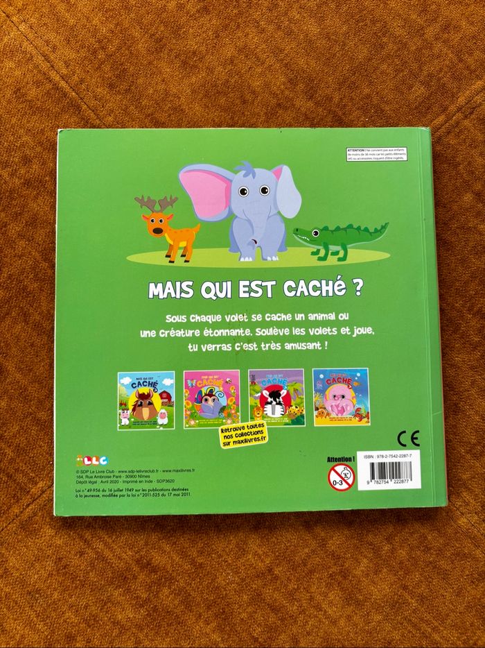 Mais qui est caché ? - photo numéro 2