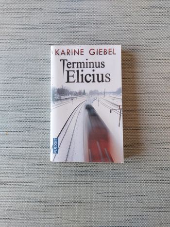 Terminus Elicius
