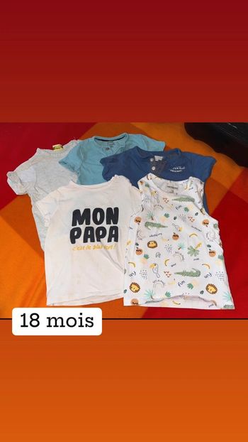 Lot de 5 t-shirt bébé - 18 mois