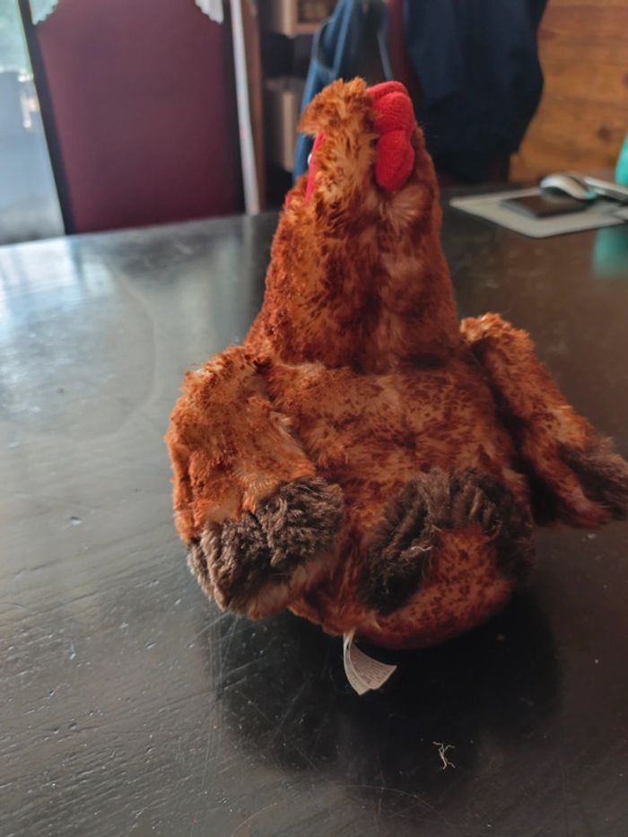 Poule qui cacete - photo numéro 2