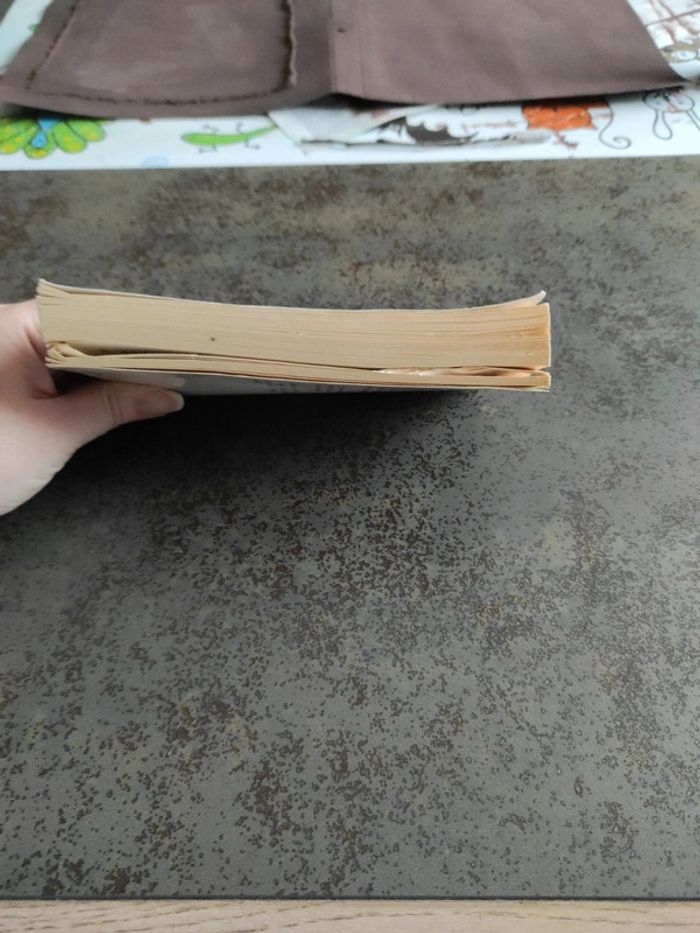 Malveillance - photo numéro 2