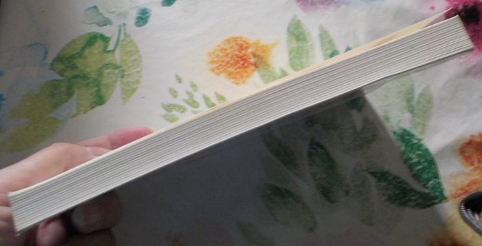 LA PLUS BELLE HISTOIRE DU MONDE Les secrets de nos origines Ed. du Seuil - photo numéro 5