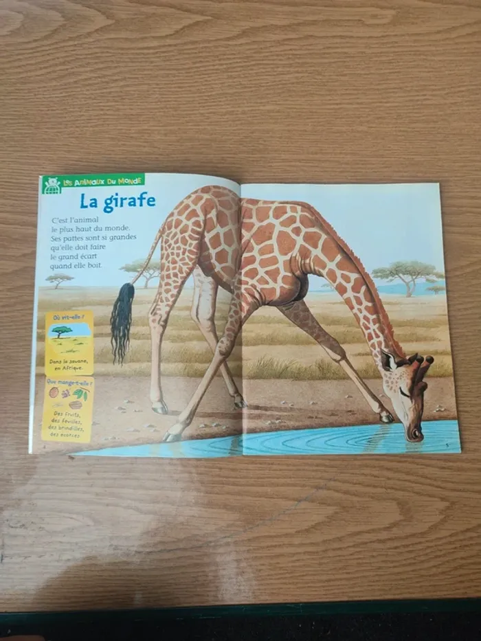 Livre youpi avec bricolo l'écolo protège les bébé arbres - photo numéro 6