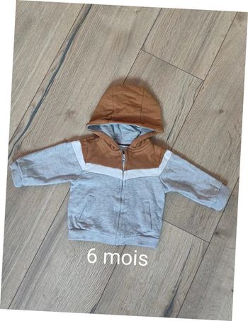 Veste à capuche zippée Vertbaudet 6 mois