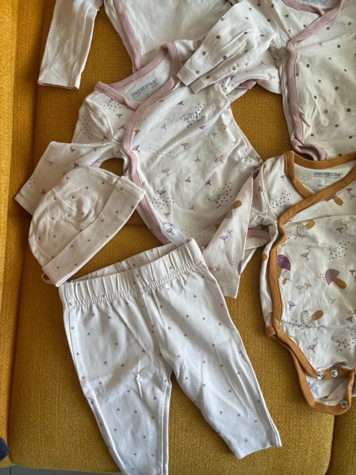 Lot de bodies - photo numéro 2