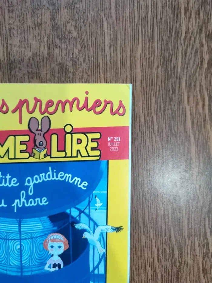 Livre la petite gardienne du phare - photo numéro 2