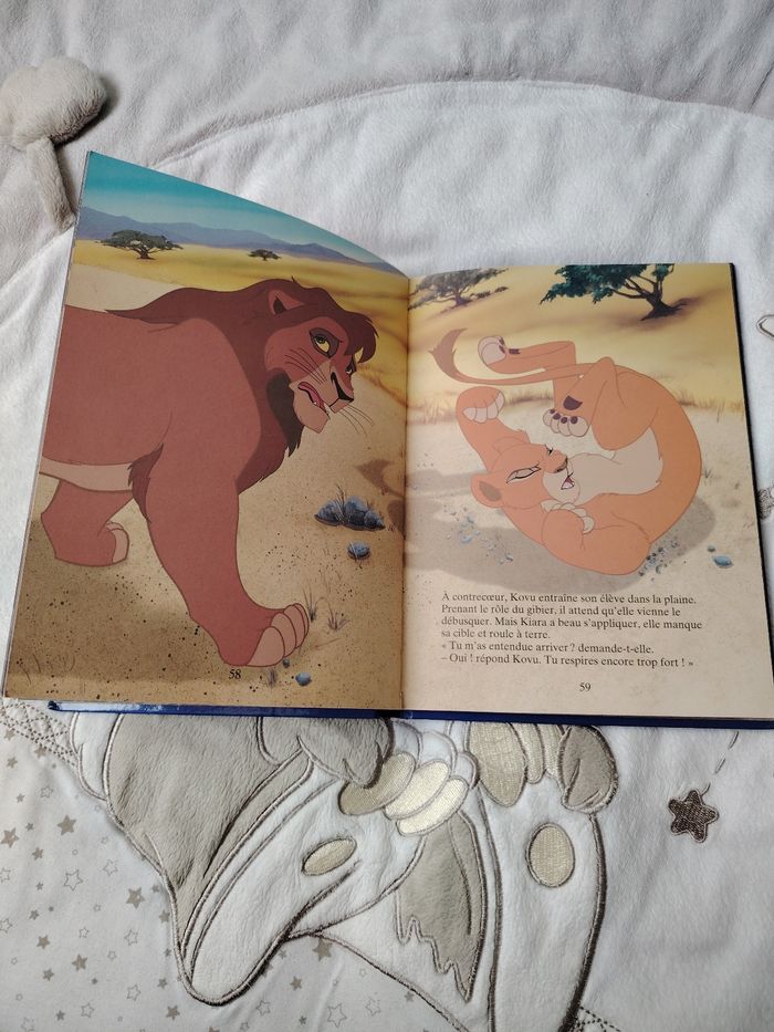 Livre roi lion 2 - photo numéro 6