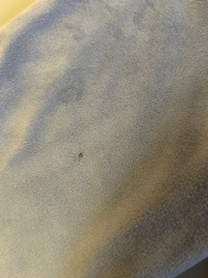 Ensemble converse 6 ans - photo numéro 5