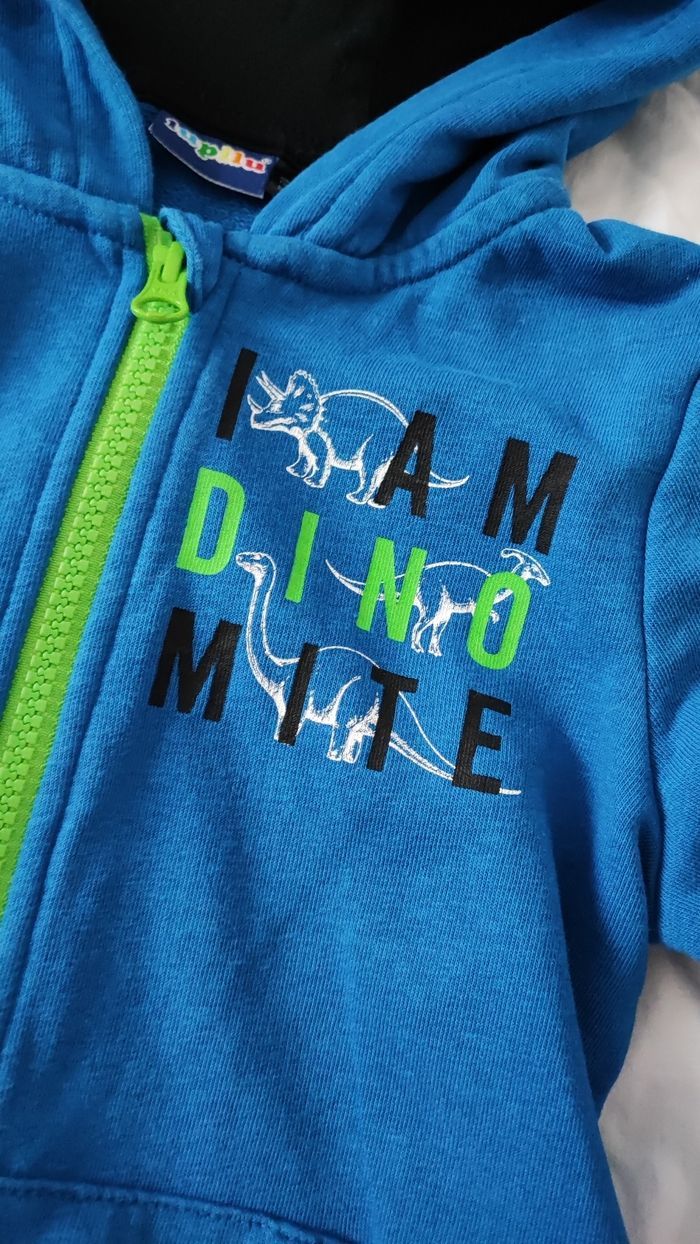 Gilet à capuche - photo numéro 2