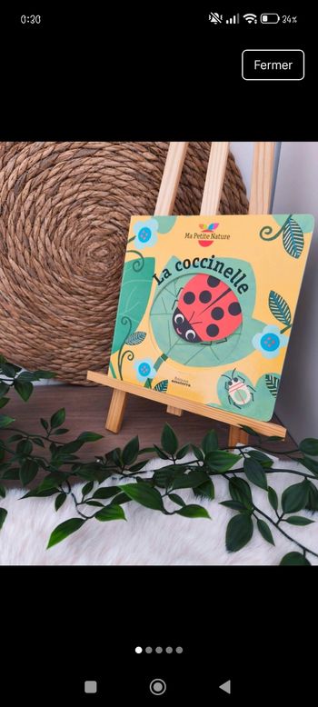 Livre coccinelle