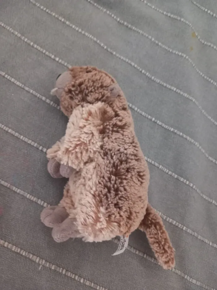 Peluche Castor - photo numéro 2