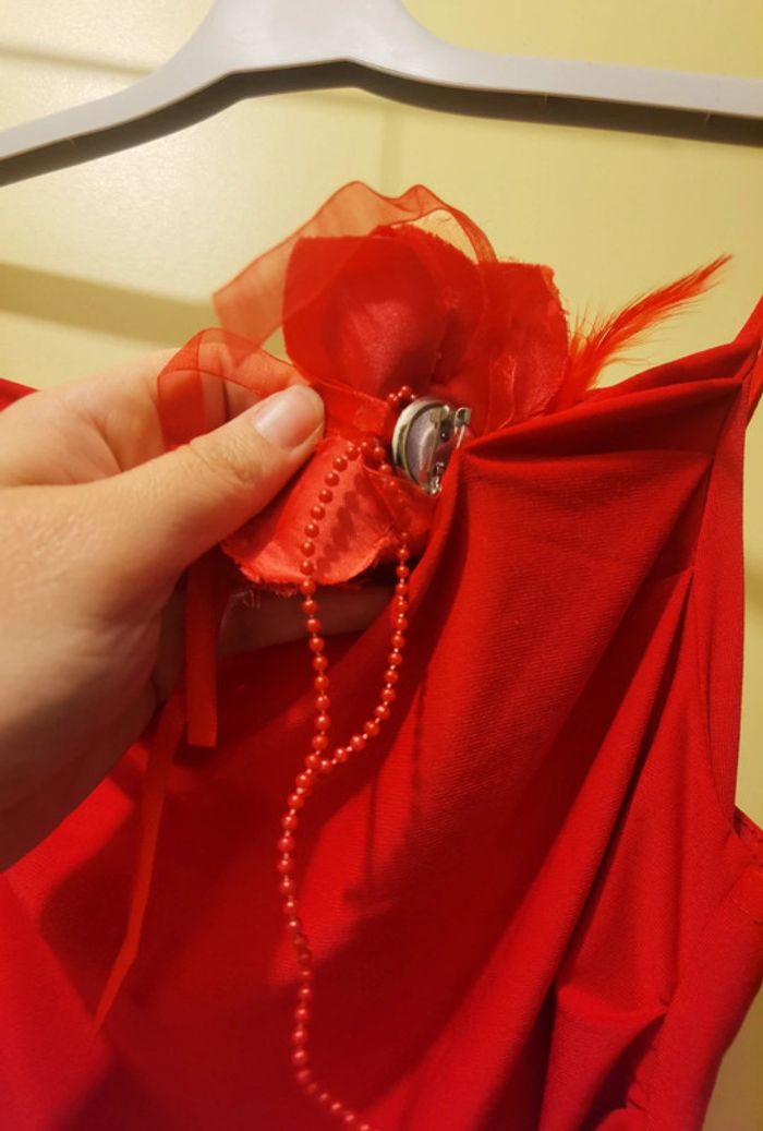 Robe rouge et sa broche - photo numéro 5