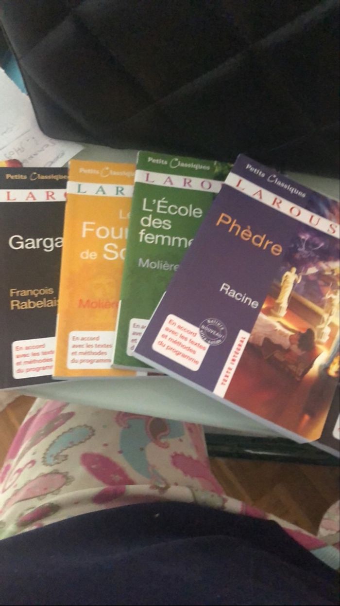 Livre grand classique - photo numéro 2