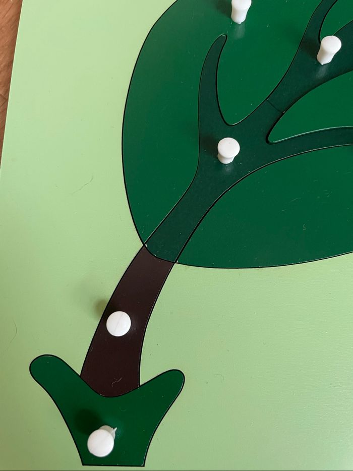 Puzzle Botanique Montessori : la feuille - photo numéro 2