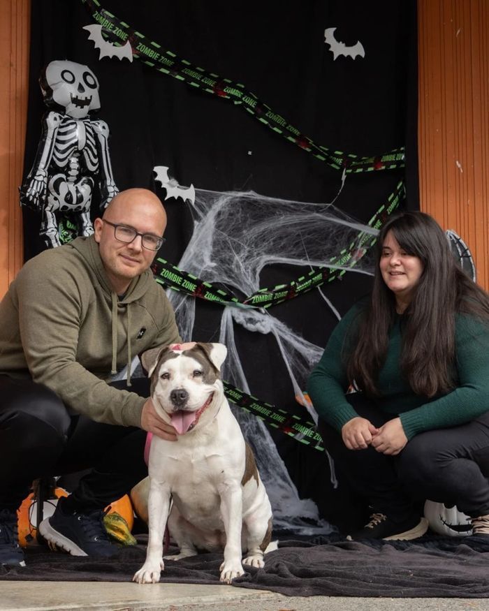 Adidas gazelle noires - photo numéro 5