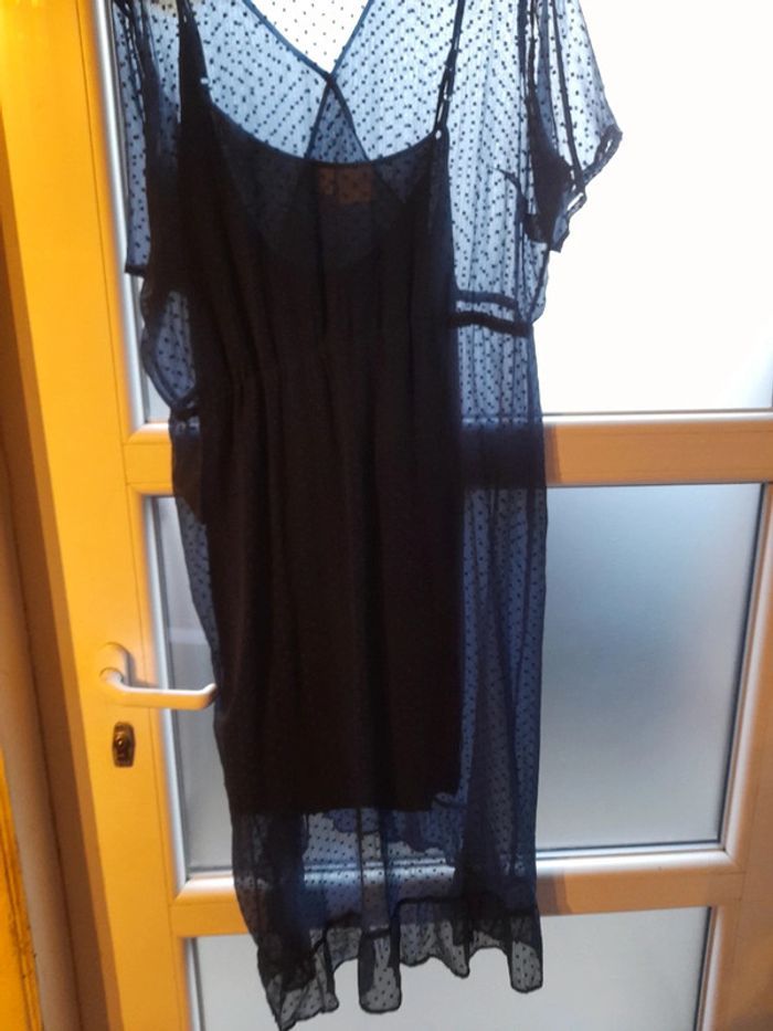 Roble voile bleue - photo numéro 6