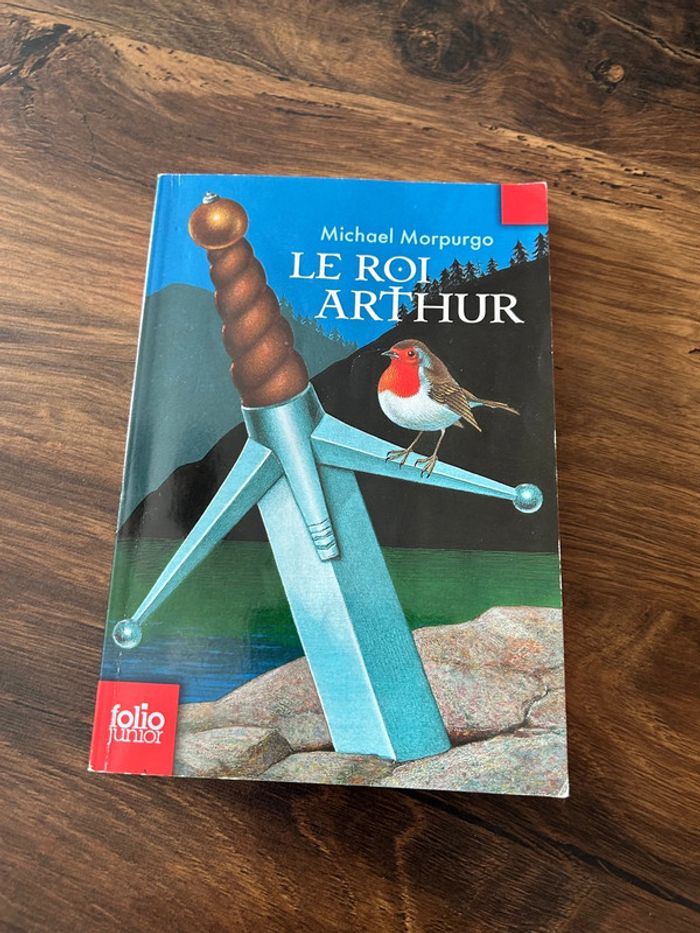 Le roi Arthur roman 9 ans