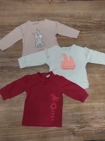 Lot 3 tee-shirts 6mois