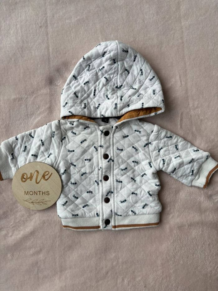 Veste À Capuche Fourmis