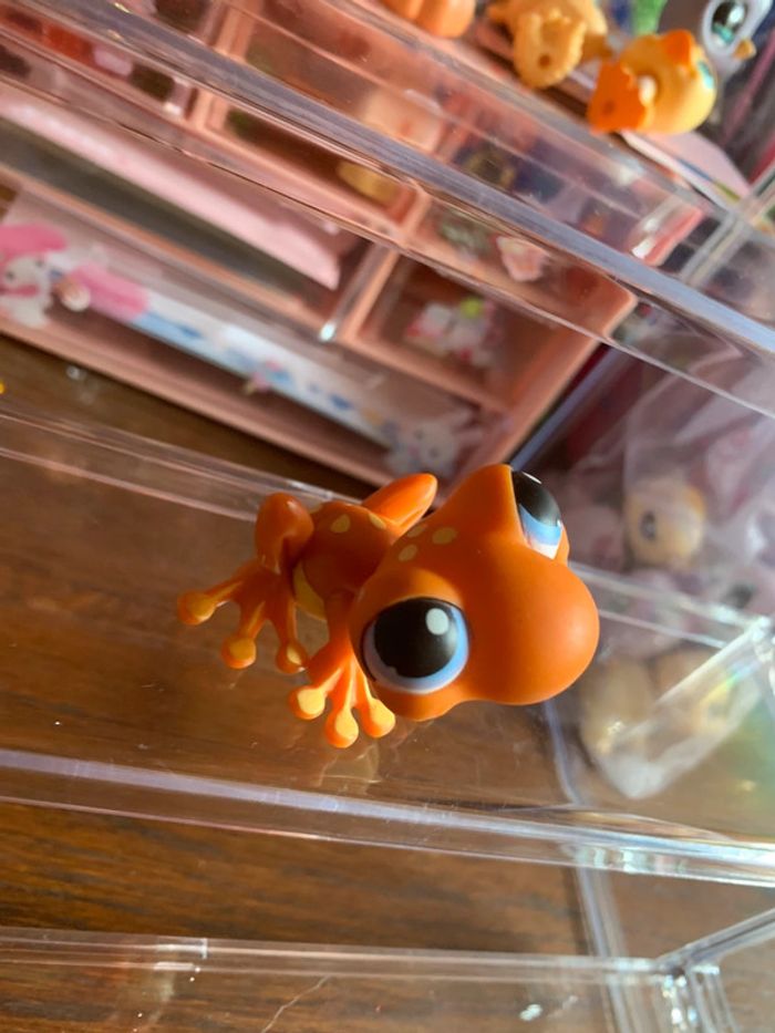 Grenouille LIttlest PetShop - photo numéro 2