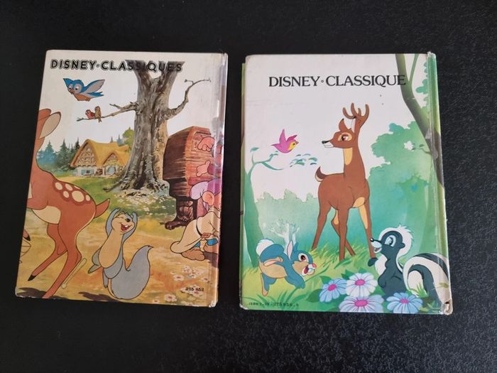 Lot de 2 livres anciens Disney - photo numéro 2