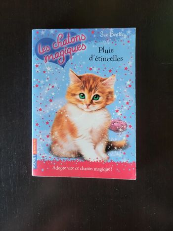Les chatons magiques pluie d'étincelles