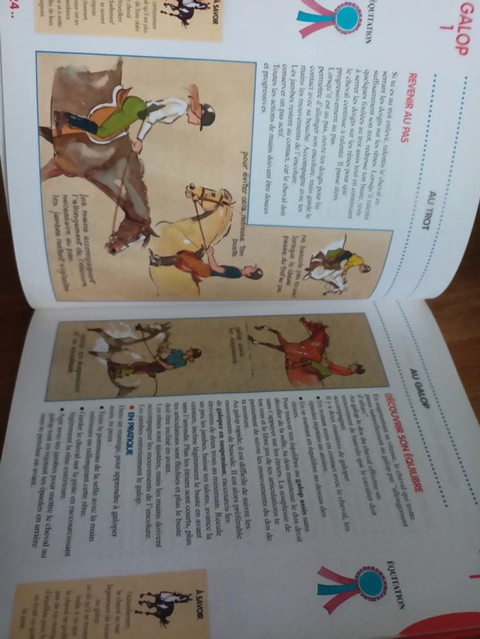 Livre galops 1 à 4 - photo numéro 3