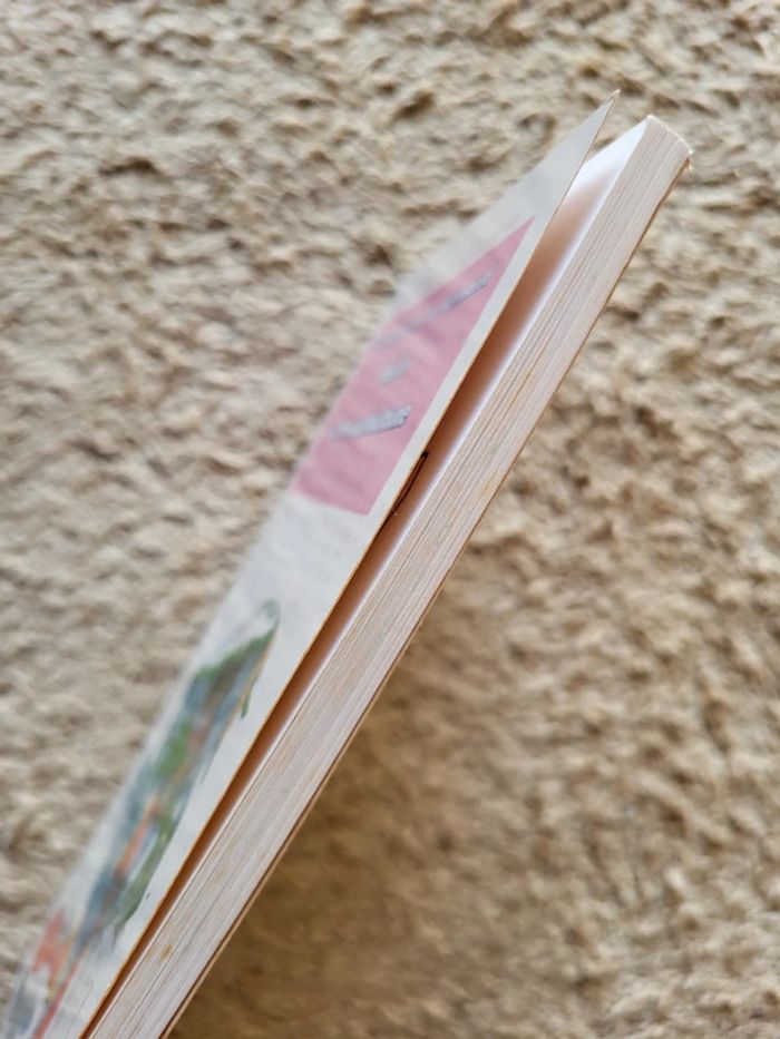 Livre enfant Basile et la scourloutoune de Véronique M. Le Normand Bibliothèque mini-rose - photo numéro 3