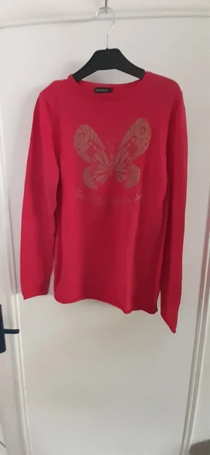 Robe ou pull long papillon manches longues 14 ans - photo numéro 3